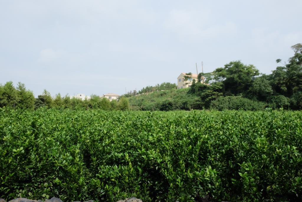 Aewol Mihas Jeju Exterior foto