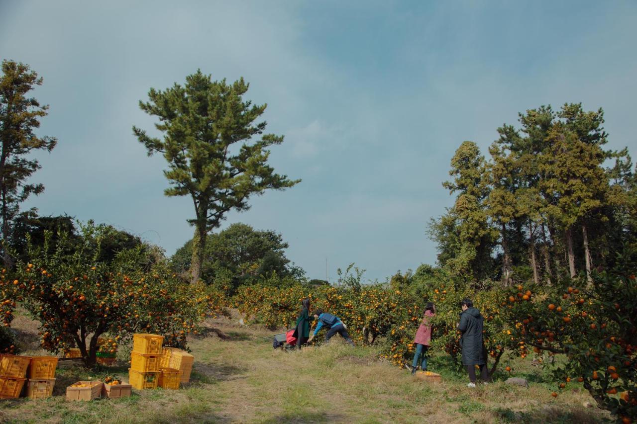 Aewol Mihas Jeju Exterior foto