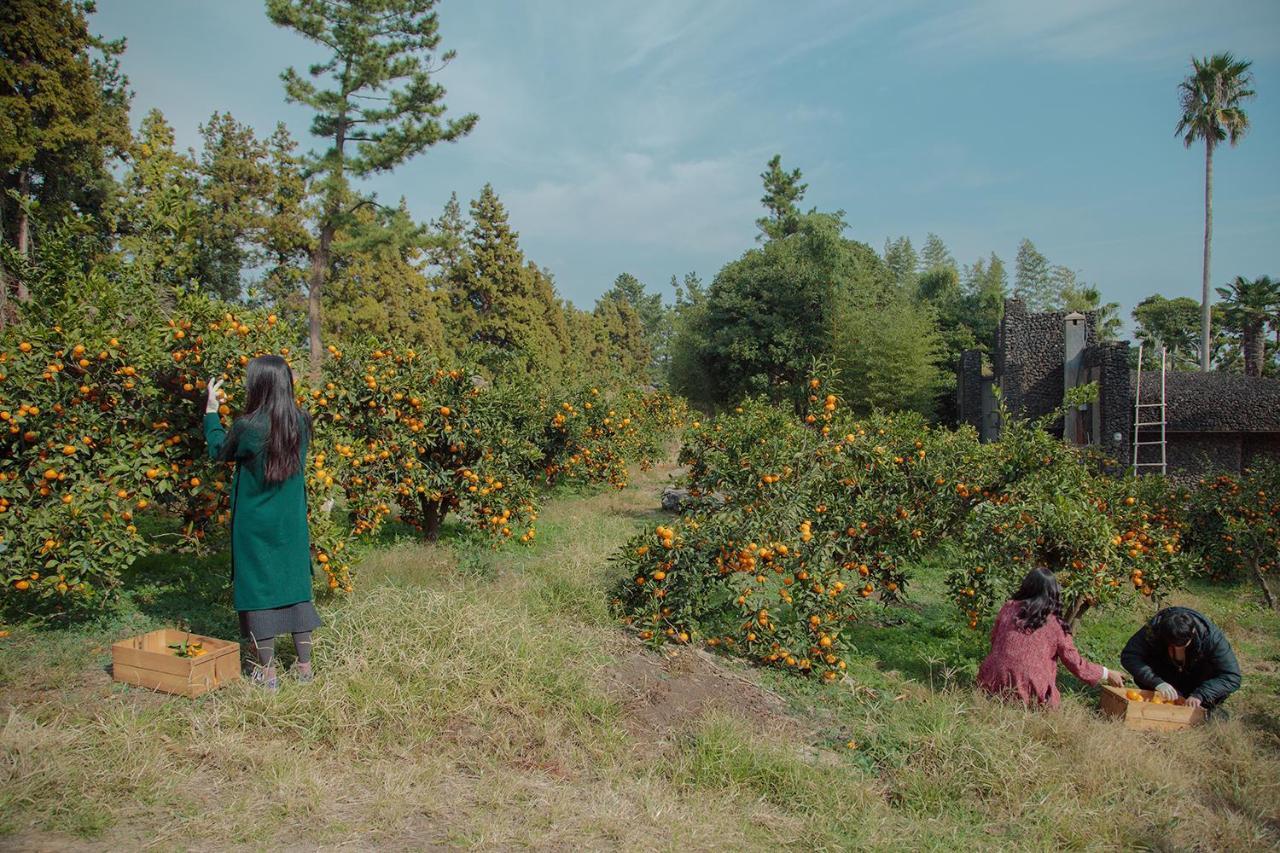 Aewol Mihas Jeju Exterior foto